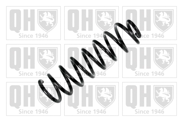 Suspension Spring (QCS5601)