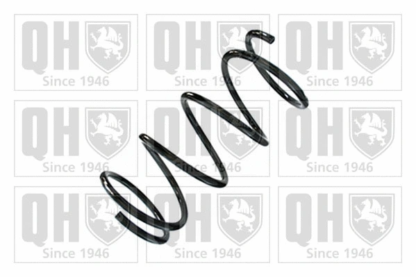 Suspension Spring (QCS8796)
