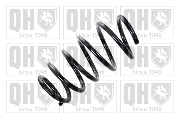 Suspension Spring (QCS6384)