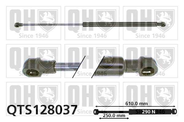 Gas Spring, boot/cargo area (QTS128037)