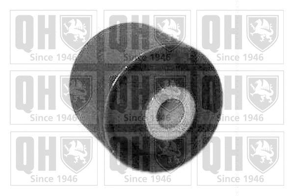 Mounting, control/trailing arm (EM3418)