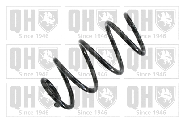 Suspension Spring (QCS6136)