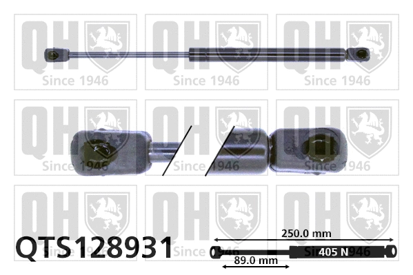 Gas Spring, boot/cargo area (QTS128931)