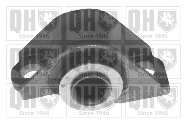 Mounting, control/trailing arm (EMS2664)