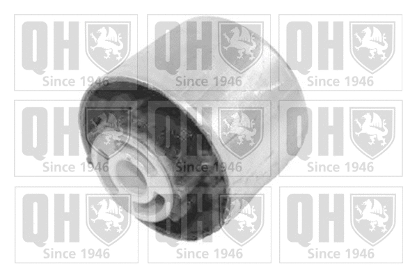 Mounting, control/trailing arm (EMS8434)