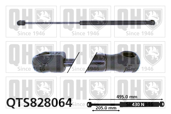 Gas Spring, boot/cargo area (QTS828064)