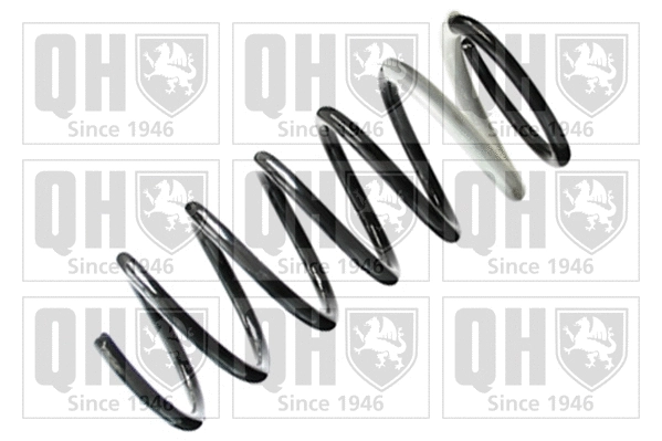 Suspension Spring (QCS5099)
