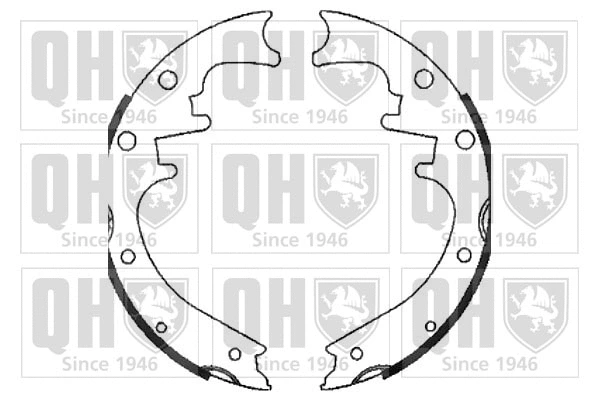 Brake Shoe Set (BS1072)