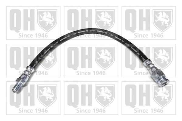 Brake Hose (BFH5599)