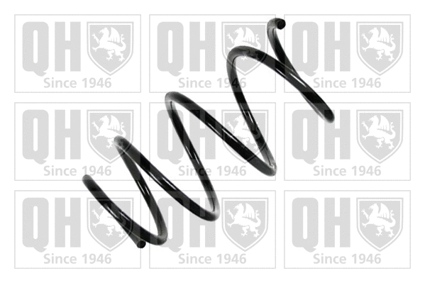 Suspension Spring (QCS5821)