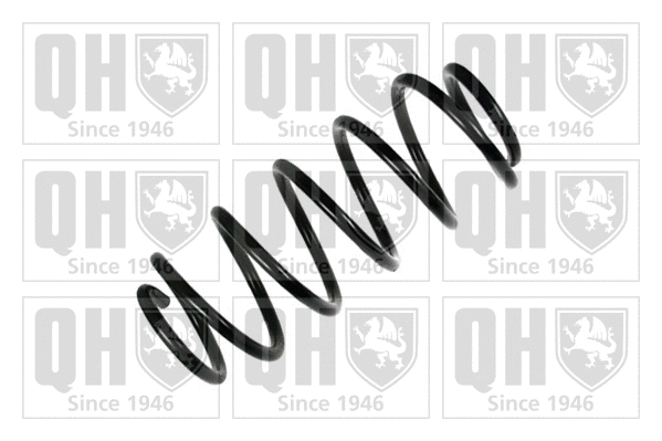 Suspension Spring (QCS7065)