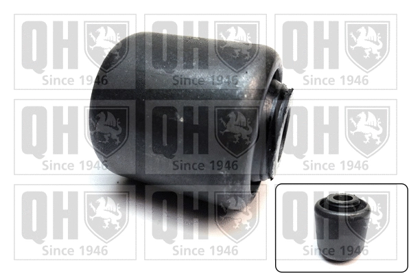 Mounting, control/trailing arm (EMS8687)