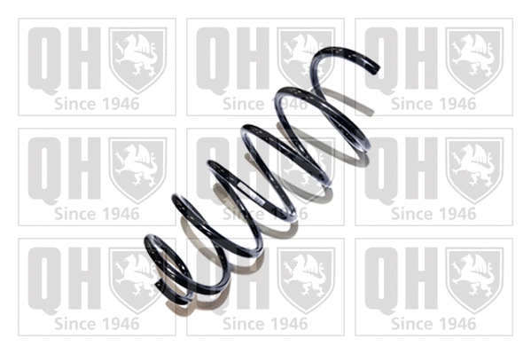 Suspension Spring (QCS5065)