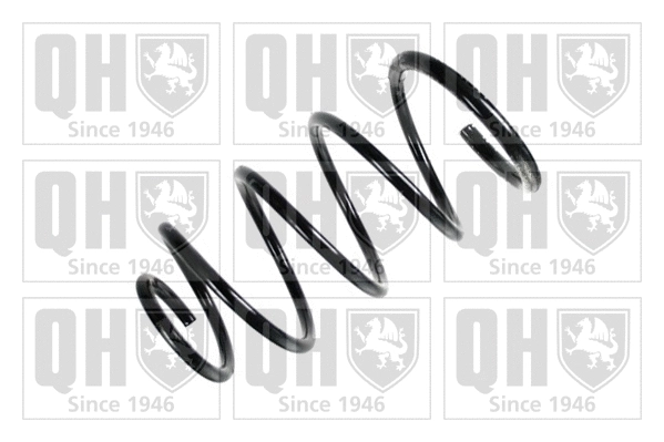 Suspension Spring (QCS5328)