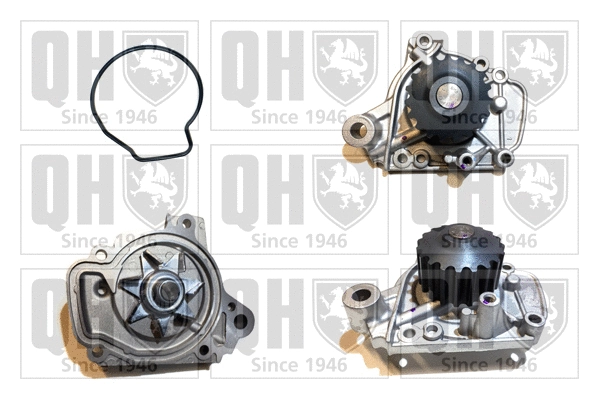 Water Pump, engine cooling (QCP3600)