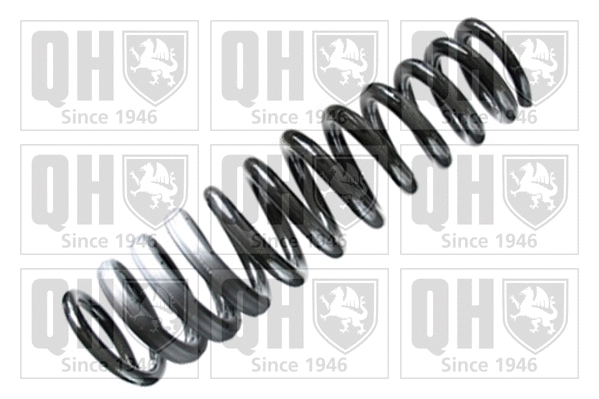 Suspension Spring (QCS6460)