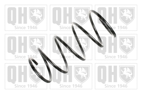 Suspension Spring (QCS5239)