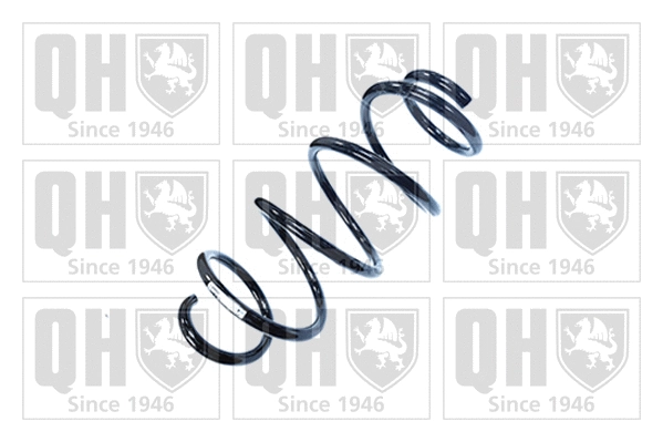 Suspension Spring (QCS8062)