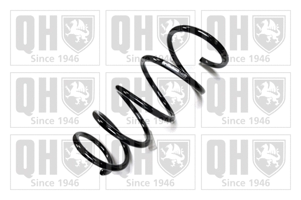 Suspension Spring (QCS7402)