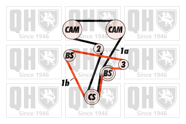 Timing Belt Kit (QBK315)