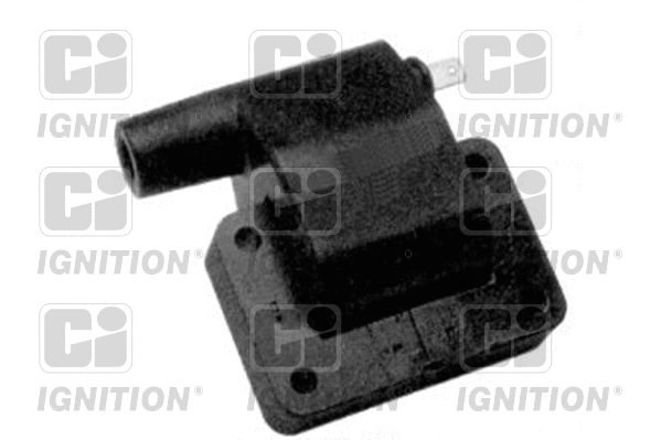 Ignition Coil (XIC8137)