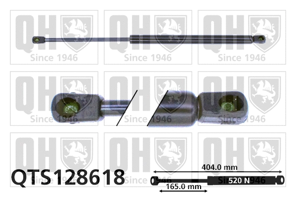 Gas Spring, boot/cargo area (QTS128618)