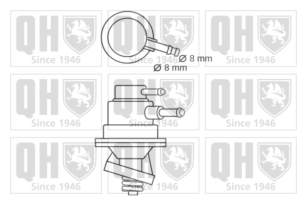 Fuel Pump (QFP508)