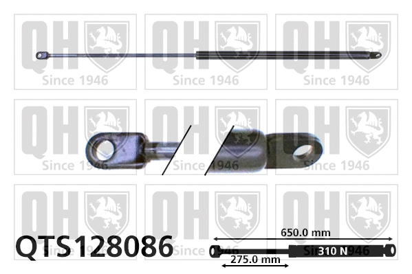 Gas Spring, boot/cargo area (QTS128086)
