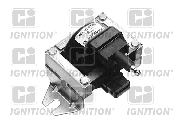Ignition Coil (XIC8153)