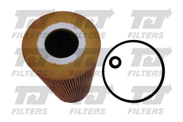 Oil Filter (QFL0129)