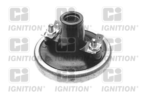 Ignition Coil (XIC8002)