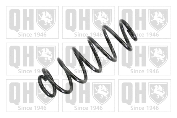 Suspension Spring (QCS6012)