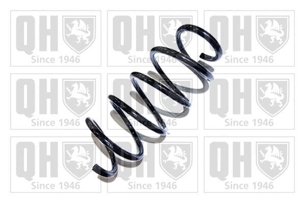Suspension Spring (QCS6439)