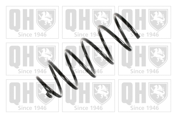 Suspension Spring (QCS5168)