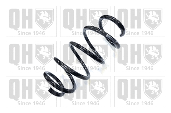 Suspension Spring (QCS5118)