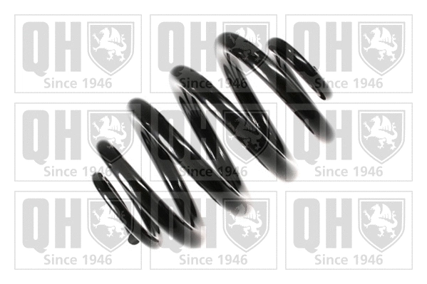 Suspension Spring (QCS8259)