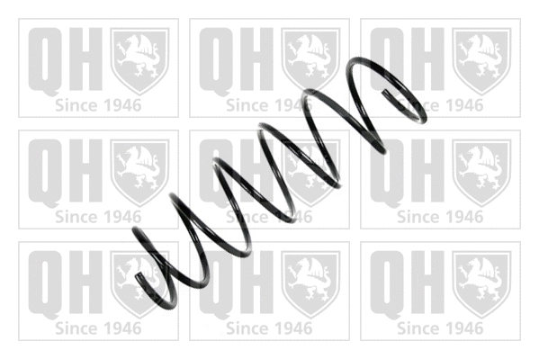 Suspension Spring (QCS7436)