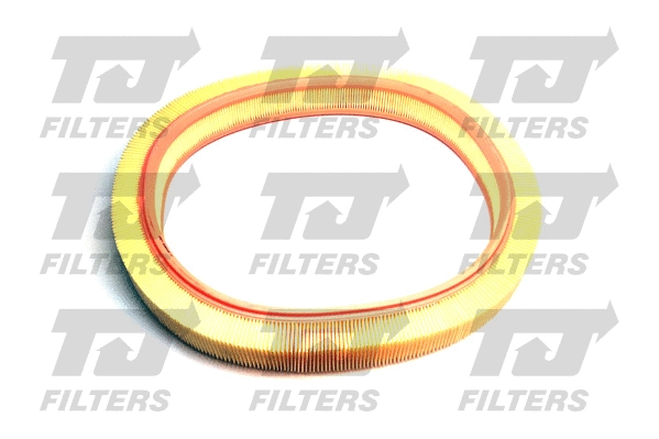 Air Filter (QFA0835)