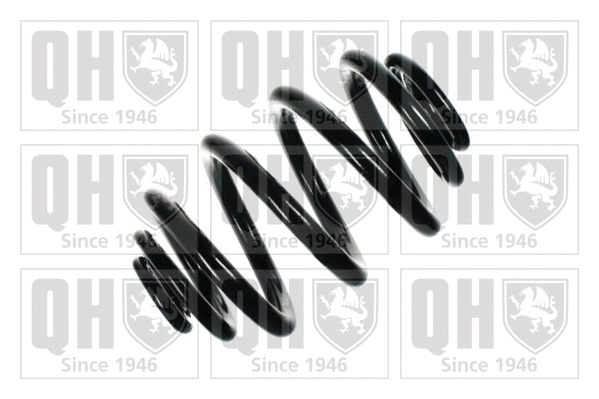 Suspension Spring (QCS6752)