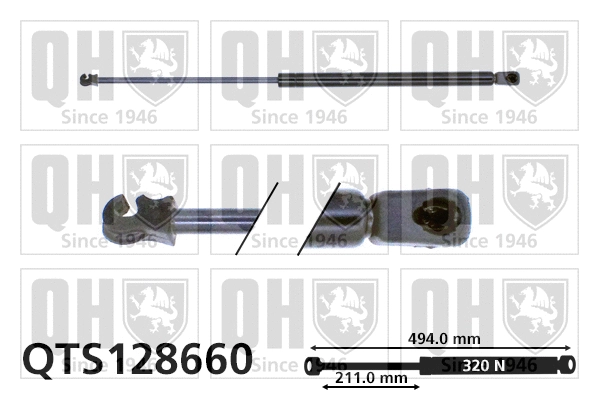Gas Spring, boot/cargo area (QTS128660)