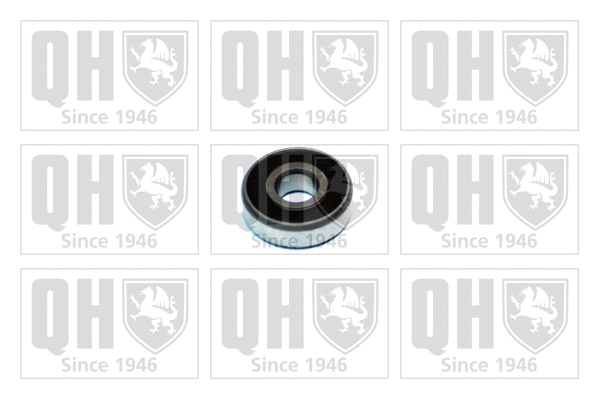 Bearing (XB9937)