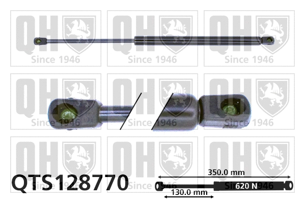 Gas Spring, boot/cargo area (QTS128770)