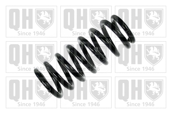 Suspension Spring (QCS6675)