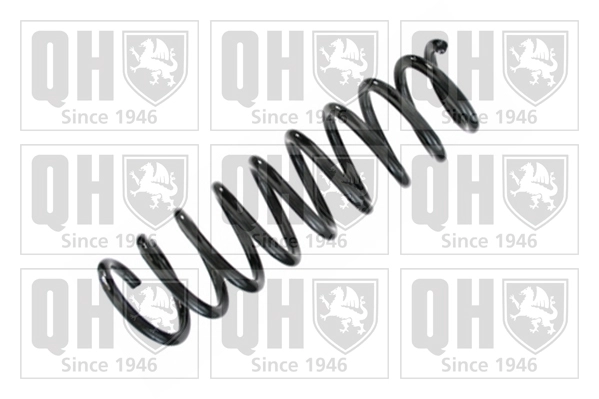 Suspension Spring (QCS8564)