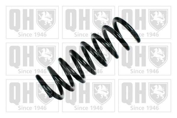 Suspension Spring (QCS5348)