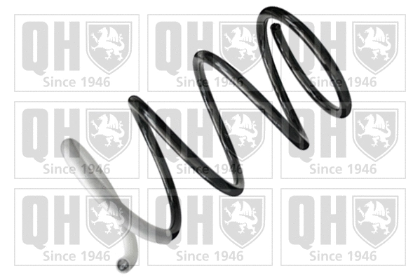 Suspension Spring (QCS7982)