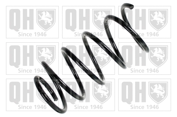 Suspension Spring (QCS6576)