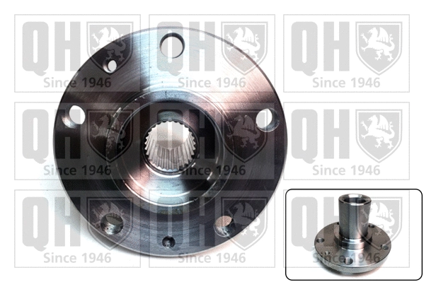 Wheel Hub (QWH141)