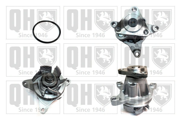Water Pump, engine cooling (QCP3539)
