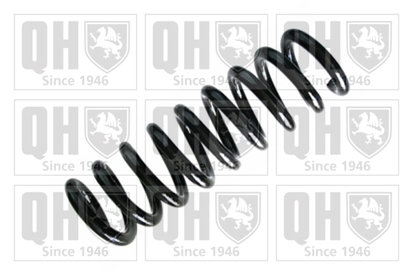 Suspension Spring (QCS8666)